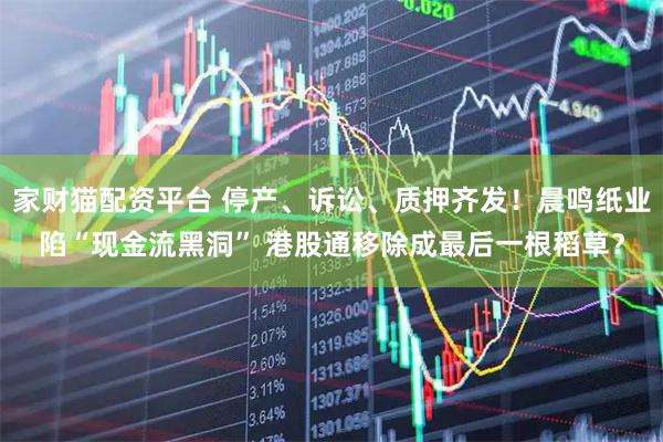 家財貓配資平臺 停產、訴訟、質押齊發！晨鳴紙業陷“現金流黑洞” 港股通移除成最后一根稻草？