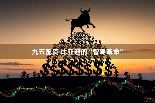 九五配資 比亞迪的“智駕革命”