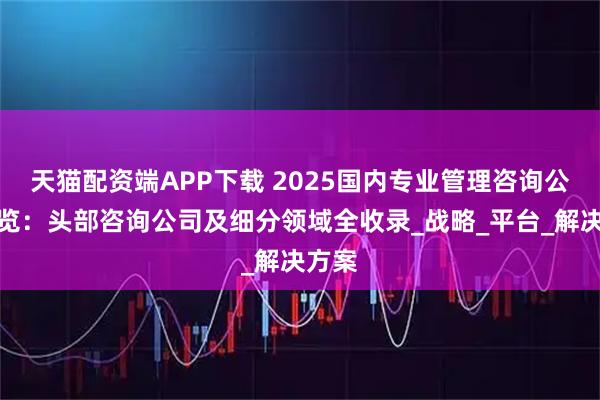 天貓配資端APP下載 2025國內(nèi)專業(yè)管理咨詢公司概覽：頭部咨詢公司及細(xì)分領(lǐng)域全收錄_戰(zhàn)略_平臺_解決方案