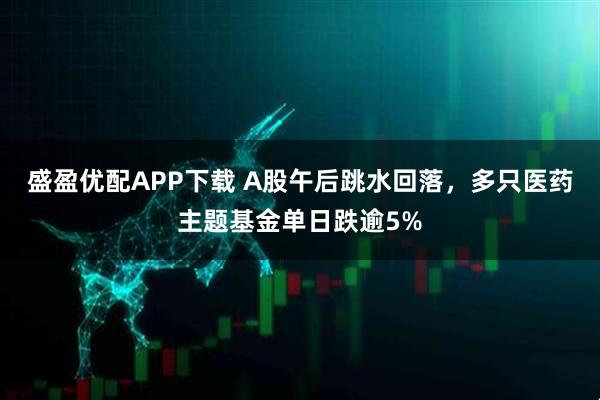 盛盈優(yōu)配APP下載 A股午后跳水回落，多只醫(yī)藥主題基金單日跌逾5%